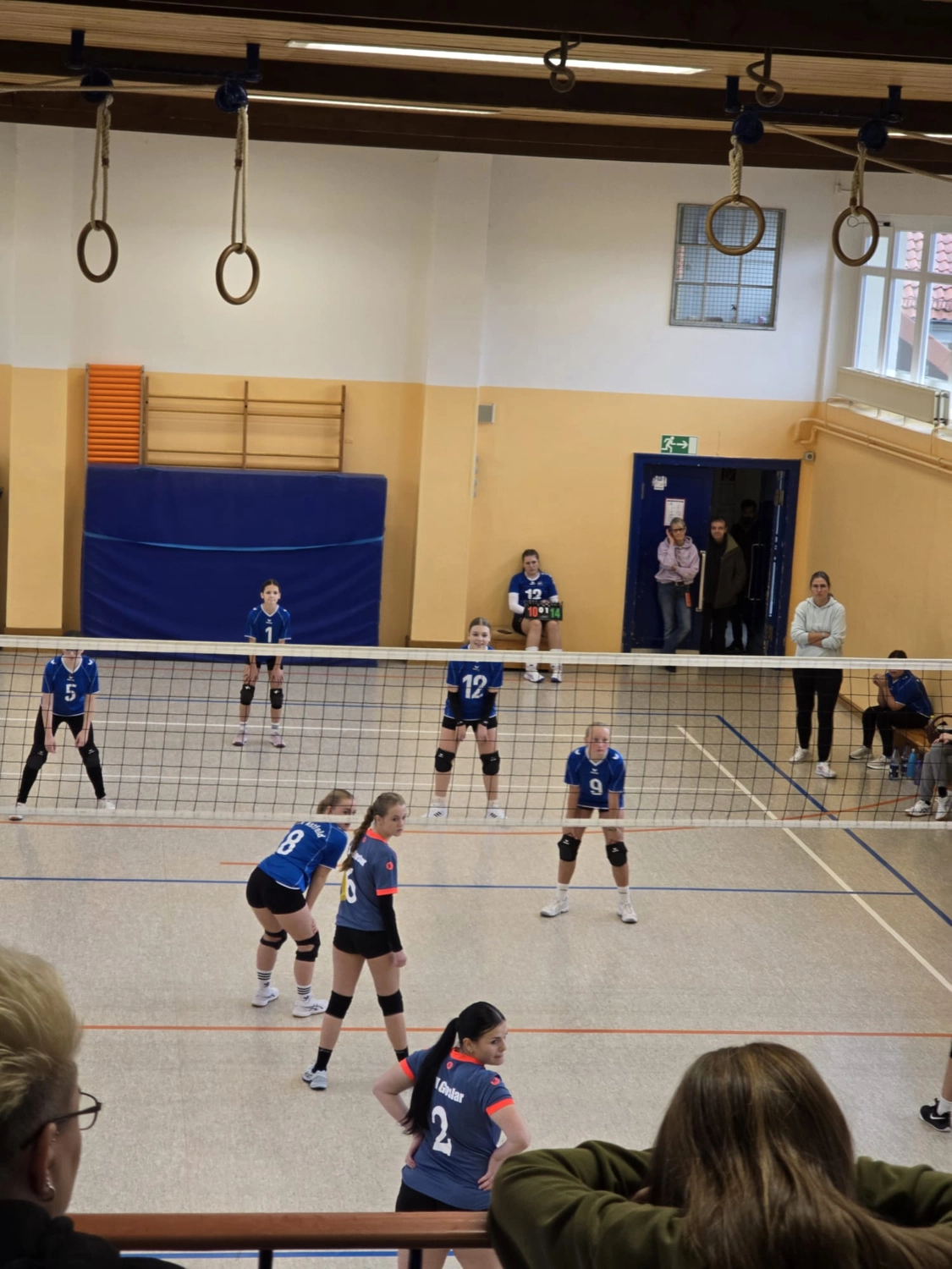 MTV Astfeld - Sportverein - Volleyball